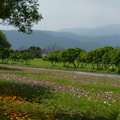 2015福山植物園