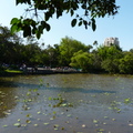 2017植物園