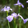 2022.2-3月-植物園