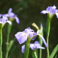 2022.2-3月-植物園