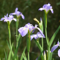 2022.2-3月-植物園