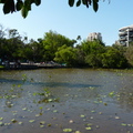 2017植物園