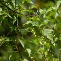 2016福山植物園