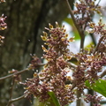 2022.2-3月-植物園