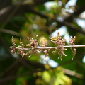 2022.2-3月-植物園