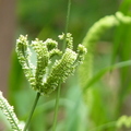 2023.03-06月.植物園