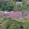 2024陽明山(花卉試驗中心.二子坪....)