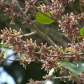 2022.2-3月-植物園