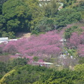 2024陽明山(花卉試驗中心.二子坪....)