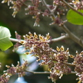 2022.2-3月-植物園