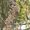 2022.2-3月-植物園