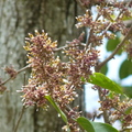 2022.2-3月-植物園