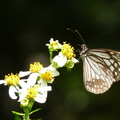 2022.2-3月-植物園