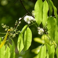 2022.2-3月-植物園