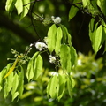 2022.2-3月-植物園