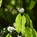 2022.2-3月-植物園