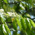 2022.2-3月-植物園