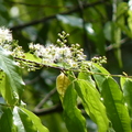 2022.2-3月-植物園