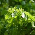 2016福山植物園