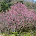 2024陽明山(花卉試驗中心.二子坪....)