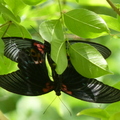 2022.2-3月-植物園