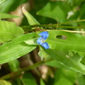 2023.03-06月.植物園