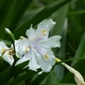 2022.2-3月-植物園