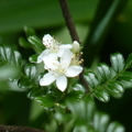 2022.2-3月-植物園