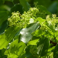 2016福山植物園