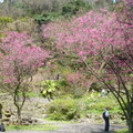 2024陽明山(花卉試驗中心.二子坪....)