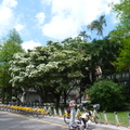 2022.04-06月.台灣大學