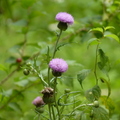 2022.2-3月-植物園