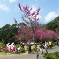 2024陽明山(花卉試驗中心.二子坪....)