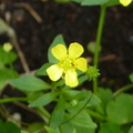 2024.04-06月.植物園