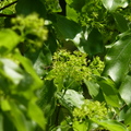 2016福山植物園