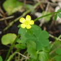 2024.04-06月.植物園