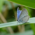 2014陽明山國家公園