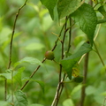 2022.2-3月-植物園