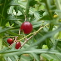 2022.2-3月-植物園