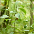 2022.2-3月-植物園