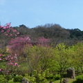 2024陽明山(花卉試驗中心.二子坪....)