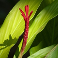 2020.2月.植物園