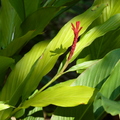 2020.2月.植物園