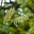 2022.2-3月-植物園