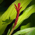 2020.2月.植物園