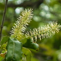 2022.2-3月-植物園