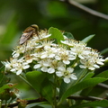 2024.04-06月.植物園