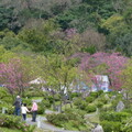 2024陽明山(花卉試驗中心.二子坪....)