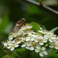 2024.04-06月.植物園