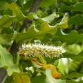 2022.2-3月-植物園